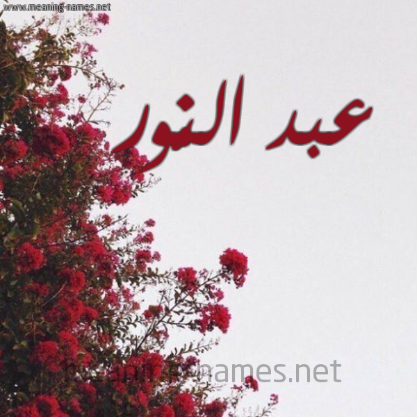 شكل 18 صوره الورد الأحمر للإسم بخط رقعة صورة اسم عبد النُّور ABD-ALNOOR